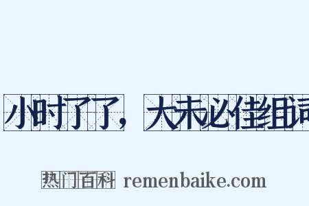 小时了了，大未必佳组词是什么意思的图片
